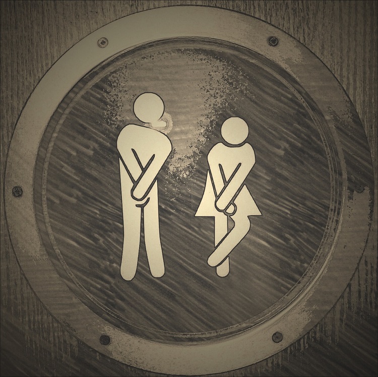 Toilet sign for an aircraft