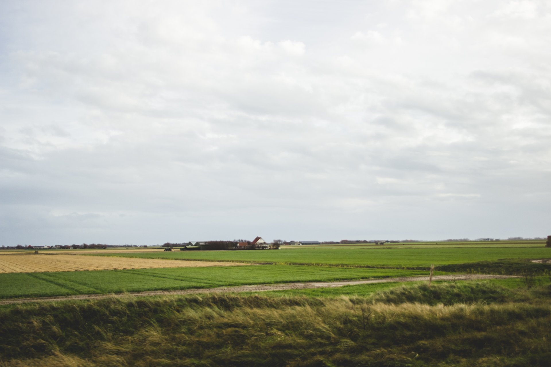 Vista de una granja en Texel
