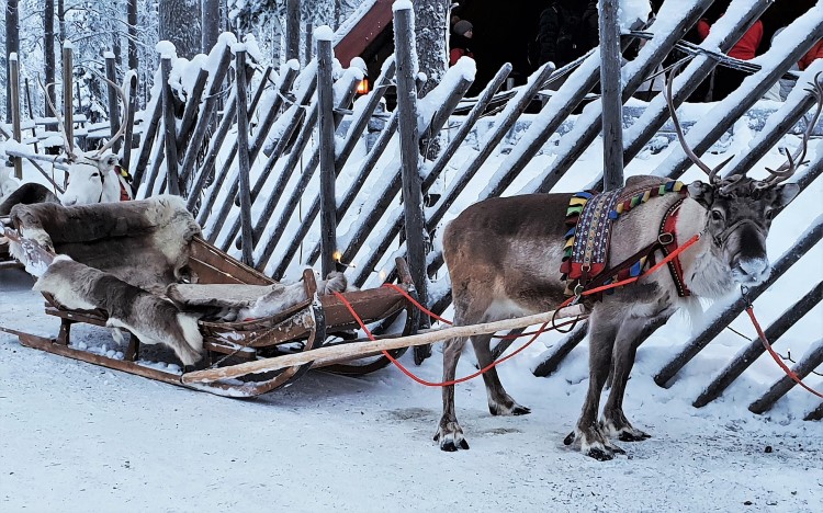 Weihnachten Lapland